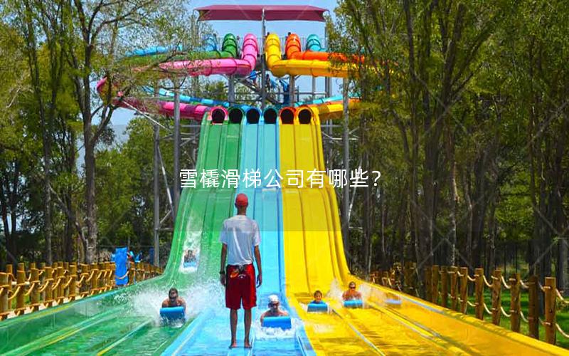 雪橇滑梯公司有哪些？